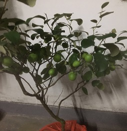 1521460976916536.jpg 微信图片_20180314155350.jpg