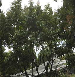 1521461071415571.jpg 微信图片_20180319110706.jpg