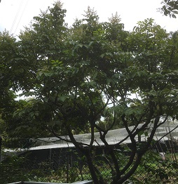 1521461088481356.jpg 微信图片_20180319110711.jpg